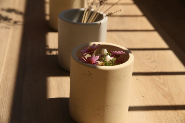 Pot en béton – Image 3